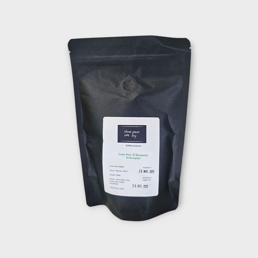 Costa Rica „El Bueyerito“ – Filterkaffee (Three Years One Day)