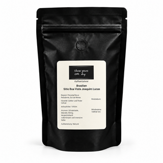 Kaffee Brasilien Sitio Boa Vista Joaquim Lucas – Three Years One Day