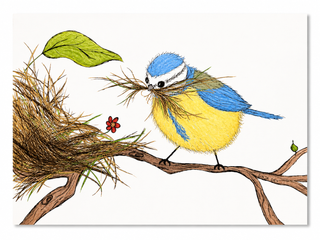 It's That Season Postkarte – Blaumeise beim Nestbau – DIN A6