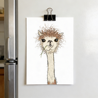 Postkarte Hello Alpaca